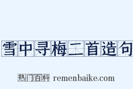 雪中寻梅二首造句是什么意思的图片